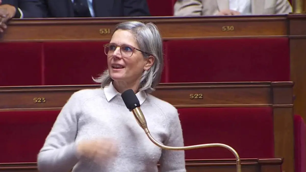 Taxe sur la viande : l'amendement de Sandrine Rousseau rejeté par 84 voix contre 14